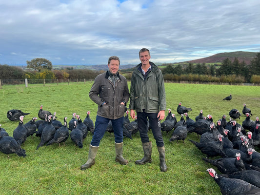 Visiting Frenchbeer Turkey Farm in Devon