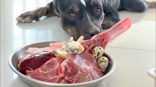 Organic Raw Pet Food (x5)